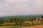 040  rural Bali.JPG